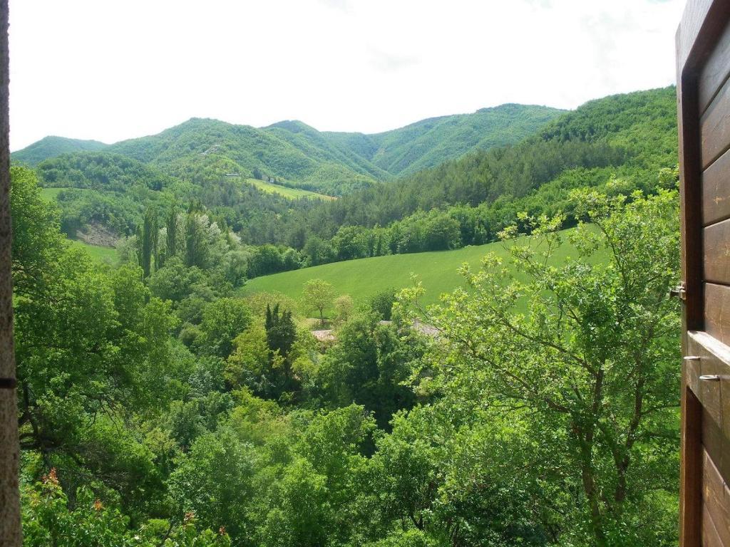 Agriturismo Orsaiola Urbania Rum bild