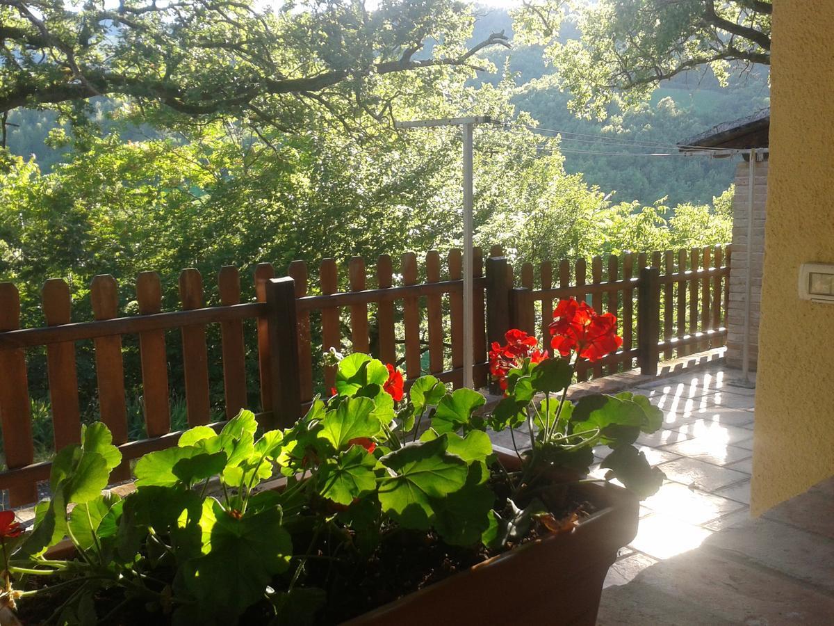 Agriturismo Orsaiola Urbania Exteriör bild